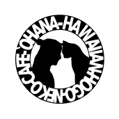 保護猫カフェ　'ohana（オハナ）